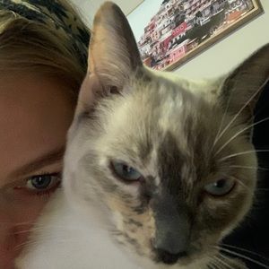 Meet your Posher, Kay